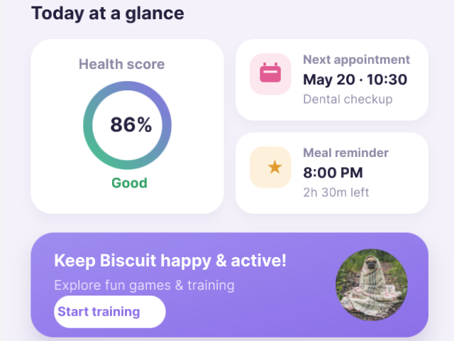 Canvas detail: health-score ring, appointment and meal cards, and a photo-filled banner.